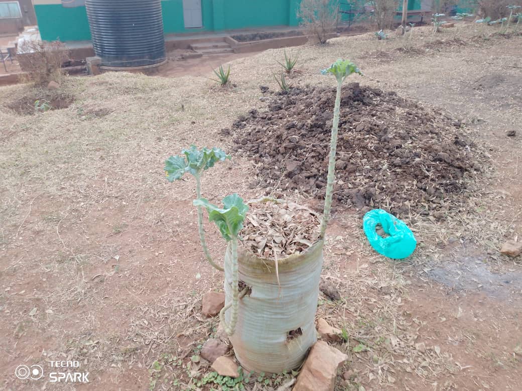 After landscaping